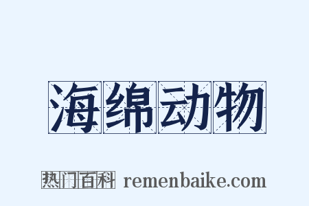 海绵动物是什么意思的图片